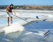 Fleur de Sel  1kg
